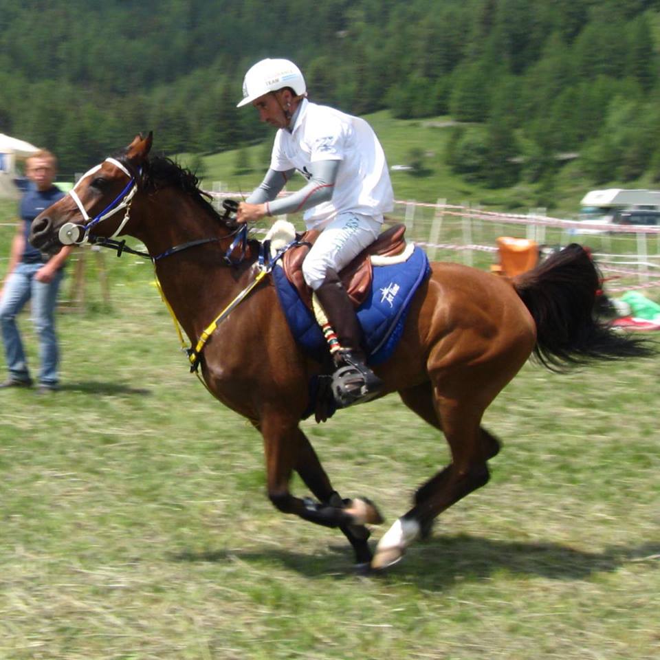 Domingo Andres Cordoba